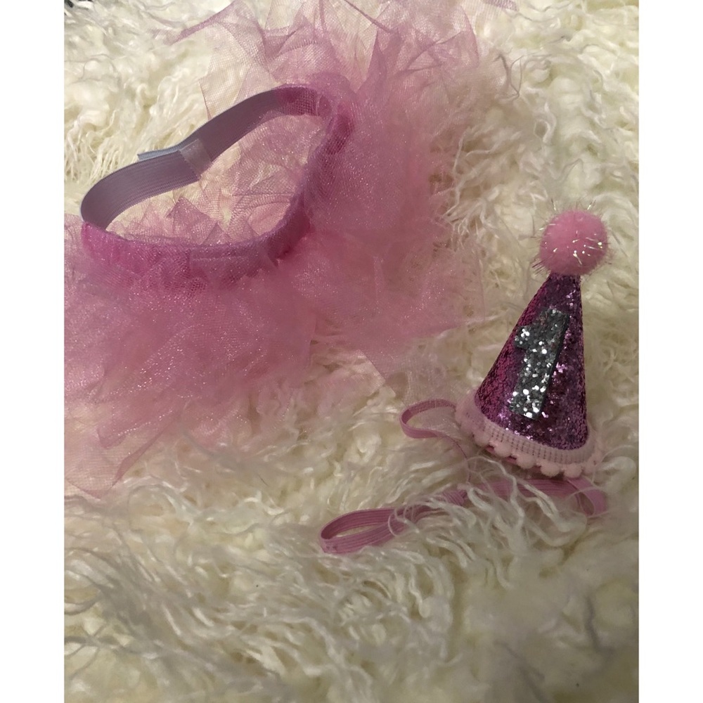 Dog outfit tutu & 1st birthday hat